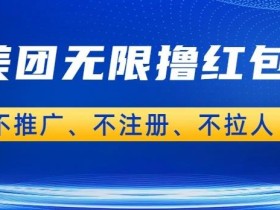 美团商家无限撸金-不注册不拉人不推广,只要有时间一天100单也可以【揭秘】