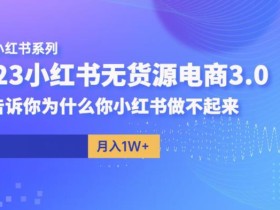 搬运YouTube视频到b站,引流私域一单利润200+,几乎0成本!【揭秘】