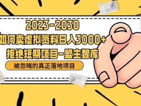 抖音,快手,小红书,我如何引流靠信息差卖刚需资料日入3000+【揭秘】