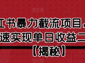 小红书暴力截流项目,新手快速实现单日收益二三百【仅揭秘】