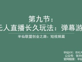 半仙联盟创业之路:无人直播永久玩法,弹幕游戏【揭秘】