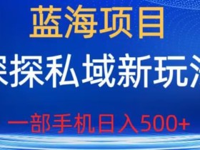 蓝海项目,探探私域新玩法,一部手机日入500+很轻松【揭秘】