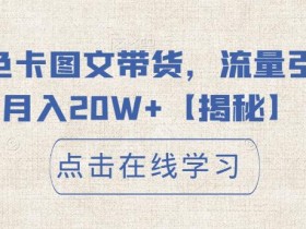 小红书色卡图文带货,流量引爆单人月入20W+【揭秘】