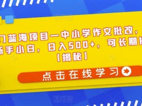 冷门蓝海项目—中小学作文批改,适合新手小白,日入500+,可长期操作【揭秘】
