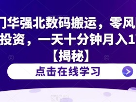 冷门华强北数码搬运,零风险,零投资,一天十分钟月入1W+【揭秘】