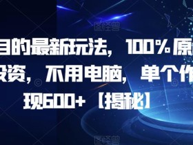 AI项目的最新玩法,100%原创,无需投资,不用电脑,单个作品变现600+【揭秘】