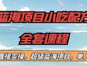 蓝海项目小吃配方全套课程,小白看完直接实操,单人日入1000+【揭秘】