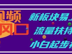 中视频新风口,新板块易上手,流量扶持大,小白起步福音【揭秘】