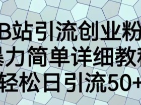 B站引流创业粉,暴力简单详细教程,轻松日引流50+【揭秘】