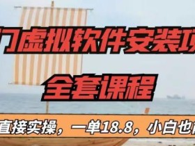 冷门虚拟软件安装项目,一单18.8,小白也能月入3W+【揭秘】