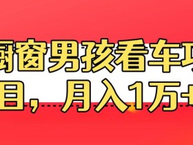 定制橱窗男孩看车图片,月入1w+【揭秘】