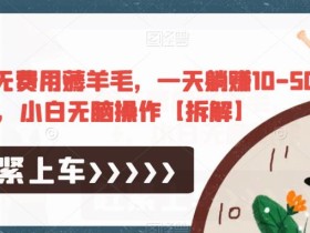 极速版无费用薅羊毛,一天躺赚10-50+,小白无脑操作【拆解】