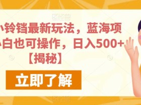 快手小铃铛最新玩法,蓝海项目,小白也可操作,日入500+【揭秘】