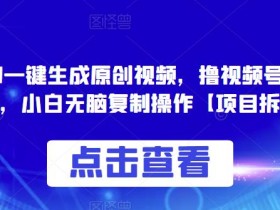 0投入,AI一键生成原创视频,撸视频号收益日入100+,小白无脑复制操作【项目拆解】