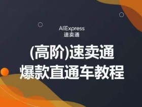 高阶速卖通直通车视频教程,教你正确解锁直通车,拒绝无效烧钱