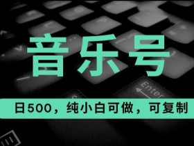 最热门音乐号玩法,10倍利润,日入500,可复制,纯小白可做【揭秘】