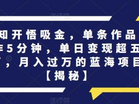 认知开悟吸金,单条作品制作5分钟,单日变现超五百,月入过万的蓝海项目【揭秘】