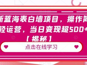 全新蓝海表白墙项目,操作简单轻运营,当日变现超500+【揭秘】