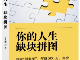 某高赞电子书《你的人生,缺块拼图——我靠“割韭菜”,年赚500万,你会你也可以》