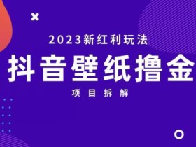 抖音壁纸小程序创作者撸金项目,2023新红利玩法【项目拆解】