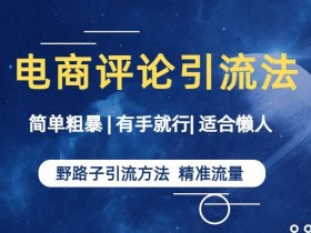 简单粗暴野路子引流-电商平台评论引流大法,适合懒人有手就行【揭秘】
