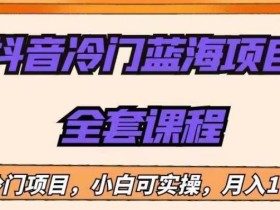 外面收费1288的抖音冷门蓝海项目,新手也可批量操作,月入1W+【揭秘】