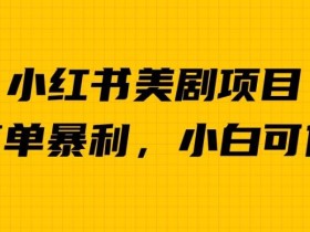外面卖1980的小红书美剧项目,单日收益1000+,小众暴利的赛道【揭秘】