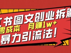 小红书图文创业拆解,暴力引流法,零成本月入1w+【揭秘】