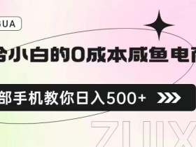 适合小白的0成本闲鱼电商项目,一部手机,教你如何日入500+的保姆级教程【揭秘】