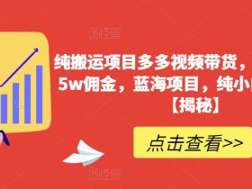 纯搬运项目多多视频带货,一个月搞了5w佣金,蓝海项目,纯小白也能操作【揭秘】