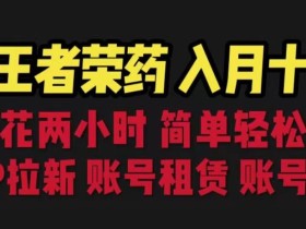 靠王者荣耀,月入十万,每天花两小时。多种变现,拉新、账号租赁,账号交易【揭秘】