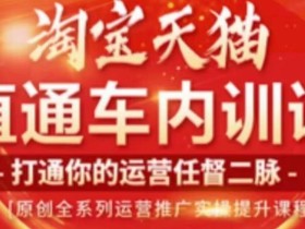 天问电商·2023淘宝天猫直通车内训课,零基础学起直通车运营实操课程