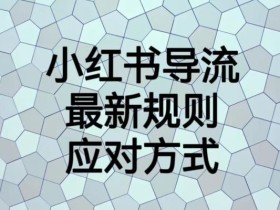 小红书导流最新规则应对方式【揭秘】