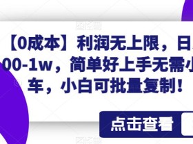 【0成本】利润无上限,日入100-1w,简单好上手无需小黄车,小白可批量复制!