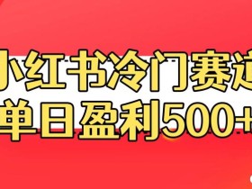 小红书冷门赛道,单日盈利500+【揭秘】