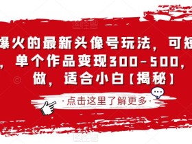 抖音爆火的最新头像号玩法,可短视频可直播,单个作品变现300-500,手机可做,适合小白【揭秘】