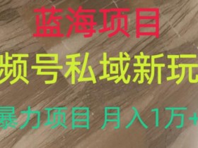 蓝海项目,视频号私域新玩法,暴力项目月入1万+【揭秘】