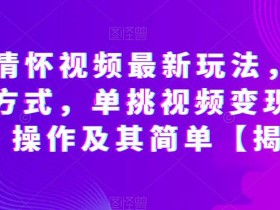 抖音情怀视频最新玩法,多种变现方式,单挑视频变现1000+,操作及其简单【揭秘】