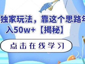 钓鱼独家玩法,靠这个思路年入50w+【揭秘】
