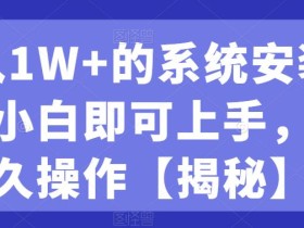 月入1W+的系统安装赛道、小白即可上手,可永久操作