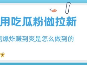 利用吃瓜粉做拉新,私信爆炸日入1000+赚到爽是怎么做到的【揭秘】