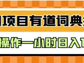 外面卖980的有道词典掘金,只需要复制粘贴即可,新手操作一小时日入100+【揭秘】