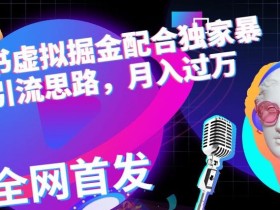 小红书虚拟掘金配合独家首发暴力引流思路,月入过万【揭秘】