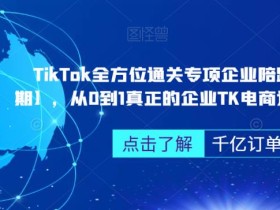 TikTok全方位通关专项企业陪跑【第三期】,从0到1真正的企业TK电商运营全流程