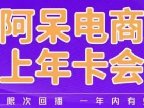 阿呆电商线上年会员,阿呆电商干货分享(更新中)