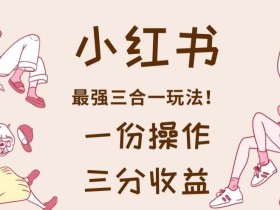 小红书最强三合一玩法,一份操作获得三份收益!【揭秘】
