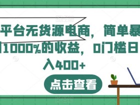 全平台无货源电商,简单暴利1000%的收益,0门槛日入400+【揭秘】