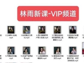 林雨新课VIP频道,玩赚私域/朋友圈/社群