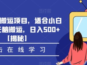 影视推广搬运项目,适合小白操作,无脑搬运,日入500+【揭秘】