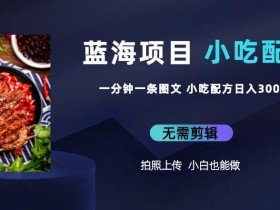 蓝海项目一分钟一条图文作品-日入300+小吃配方项目(附684G小吃配方)